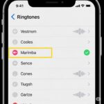 아이폰에서 벨소리 설정 화면을 보고 있는 모습