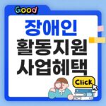 장애인 활동지원 사업혜택 썸네일