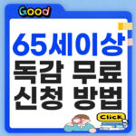 65세이상 독감 무료 접종