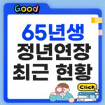 65년생 정년연장 최근 현황