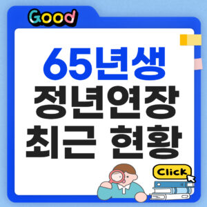 65년생 정년연장 최근 현황