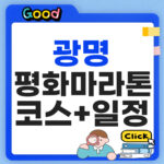 광명평화마라톤