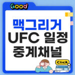 UFC 329 맥그리거 일정