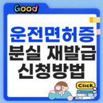 운전면허증 분실 재발급 방법 온라인·경찰서·비용·준비물은? 운전면허증 분실 재발급 신청방법