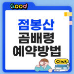 점봉산 곰배령 예약 방법 2026 위치·등산코스·탐방정보 총정리 점봉산 곰배령 예약 방법