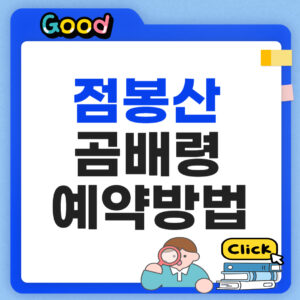 점봉산 곰배령 예약 방법