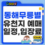 동해 무릉별유천지 라벤더 축제