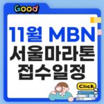 MBN 서울마라톤 2026 접수 일정·코스·참가비·기념품 총정리 MBN 서울마라톤 2026