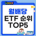 월배당 ETF 순위 썸네일