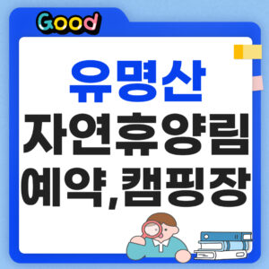 유명산자연휴양림 예약 썸네일