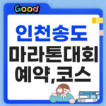 인천송도국제마라톤 썸네일