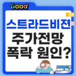 스트라드비젼 주가 전망 썸네일