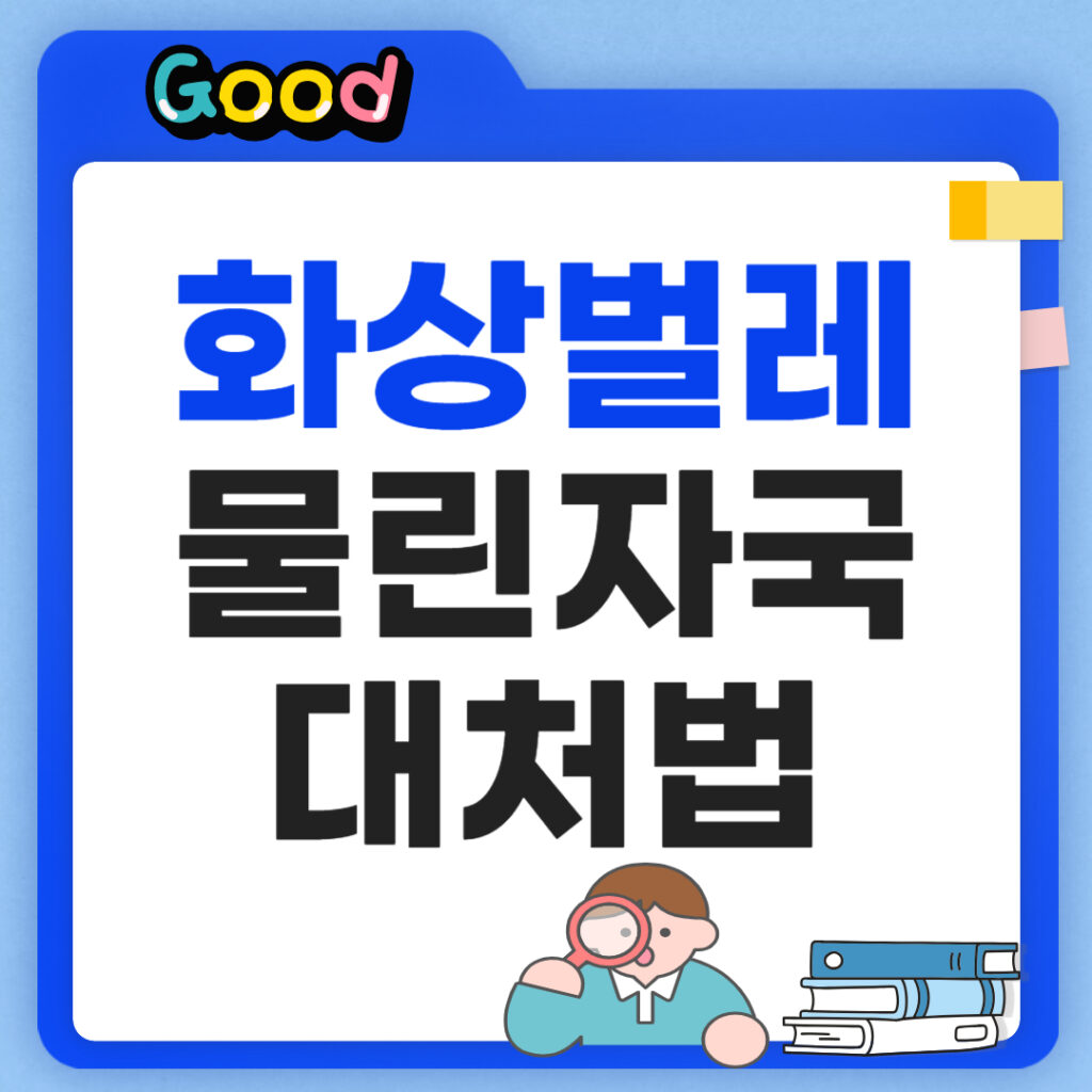 화상벌레 물린자국 대처법