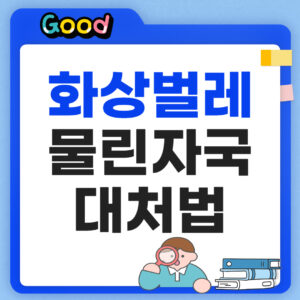 화상벌레 물린자국 대처법