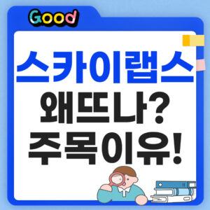 스카이랩스 왜 주목할까?
