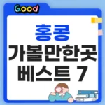 홍콩 빅토리아 피크에서 바라본 빅토리아 하버와 도심 스카이라인 풍경