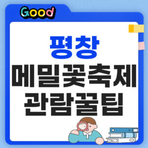 평창 메밀꽃축제 관람 팁