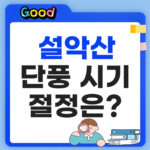 설악산 단풍시기