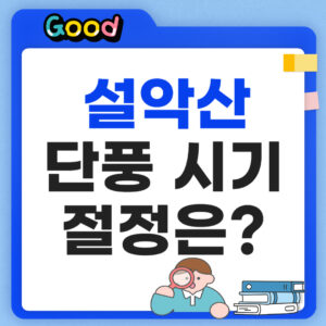 설악산 단풍시기