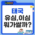 태국 유심 이심 뭐가 쌀까? 10일 데이터 가격 비교 태국 유심 이심 뭐가 저렴하지?