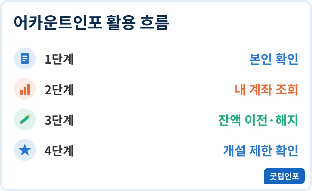 어카운트인포 조회 어카운트인포 활용 흐름 인포그래픽