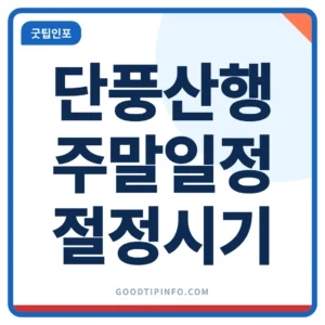 단풍 하이킹 2026 지역별 절정 시기와 쉬운 코스 썸네일