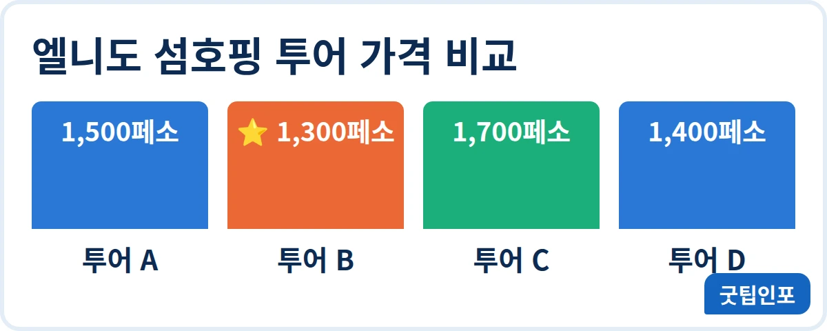 엘니도 섬호핑 투어 A부터 D까지 1인당 가격 비교, 투어 B가 1300페소로 가장 저렴 안내 인포그래픽