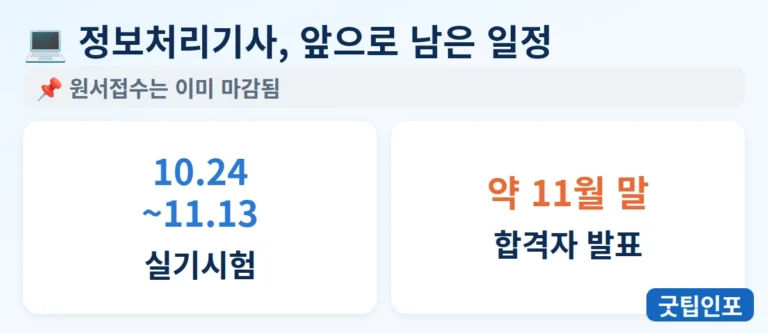 정보처리기사 실기시험 10월24일부터 11월13일, 합격자 발표 11월말 일정 인포그래픽