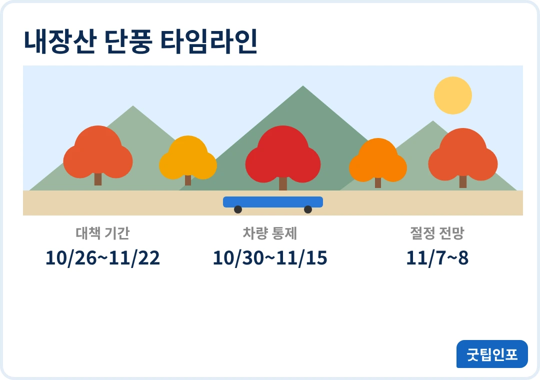 내장산 단풍축제 내장산 단풍 타임라인 인포그래픽