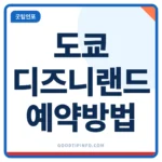 도쿄 디즈니랜드 티켓 예약방법을 보여주는 썸네일