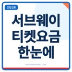 도쿄 서브웨이 티켓 요금 비교