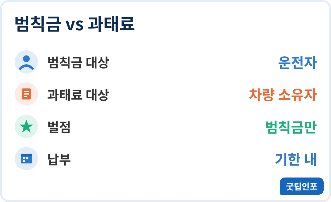 범칙금과 과태료 차이 인포그래픽